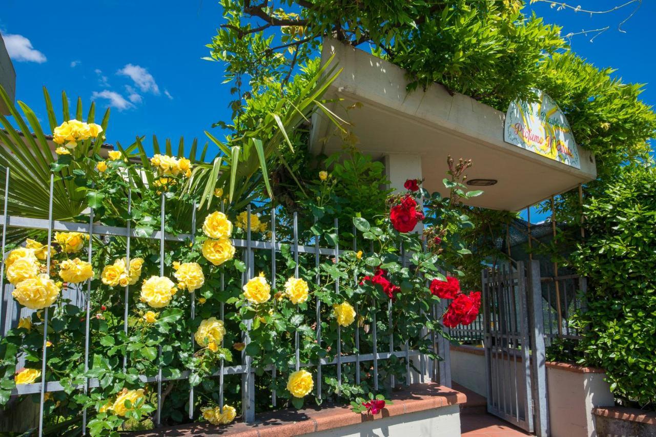Bed & Breakfast Profumo D'Estate Agliana Экстерьер фото
