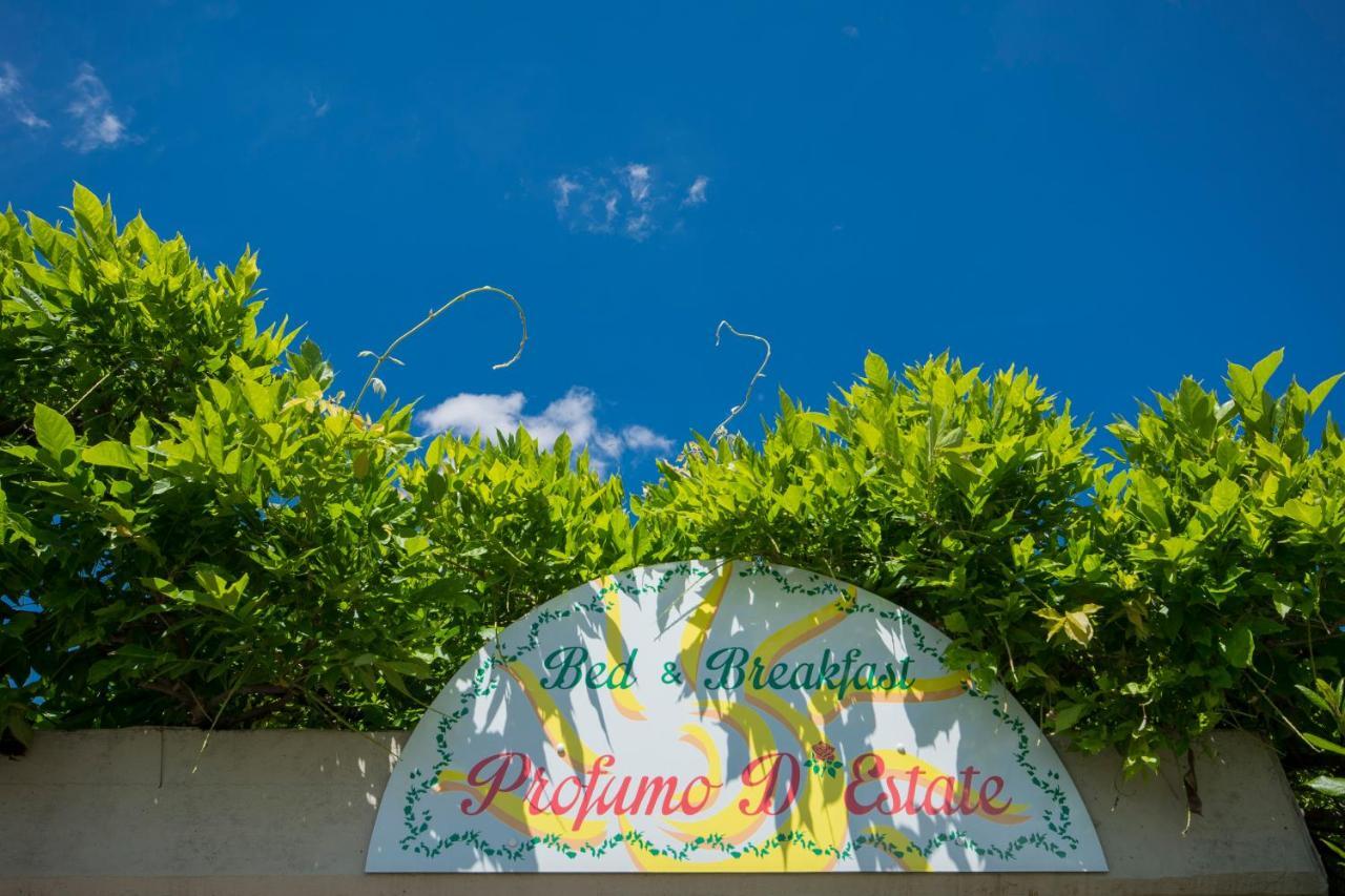 Bed & Breakfast Profumo D'Estate Agliana Экстерьер фото